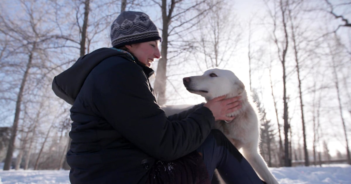 Iditarod racer and her #UglyDogs become internet sensations